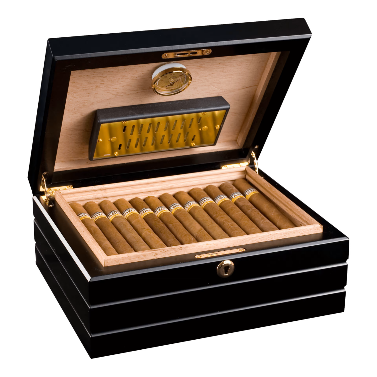 Adorini Firenze Deluxe