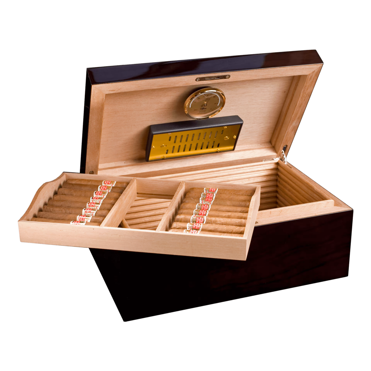 Adorini Genova Deluxe