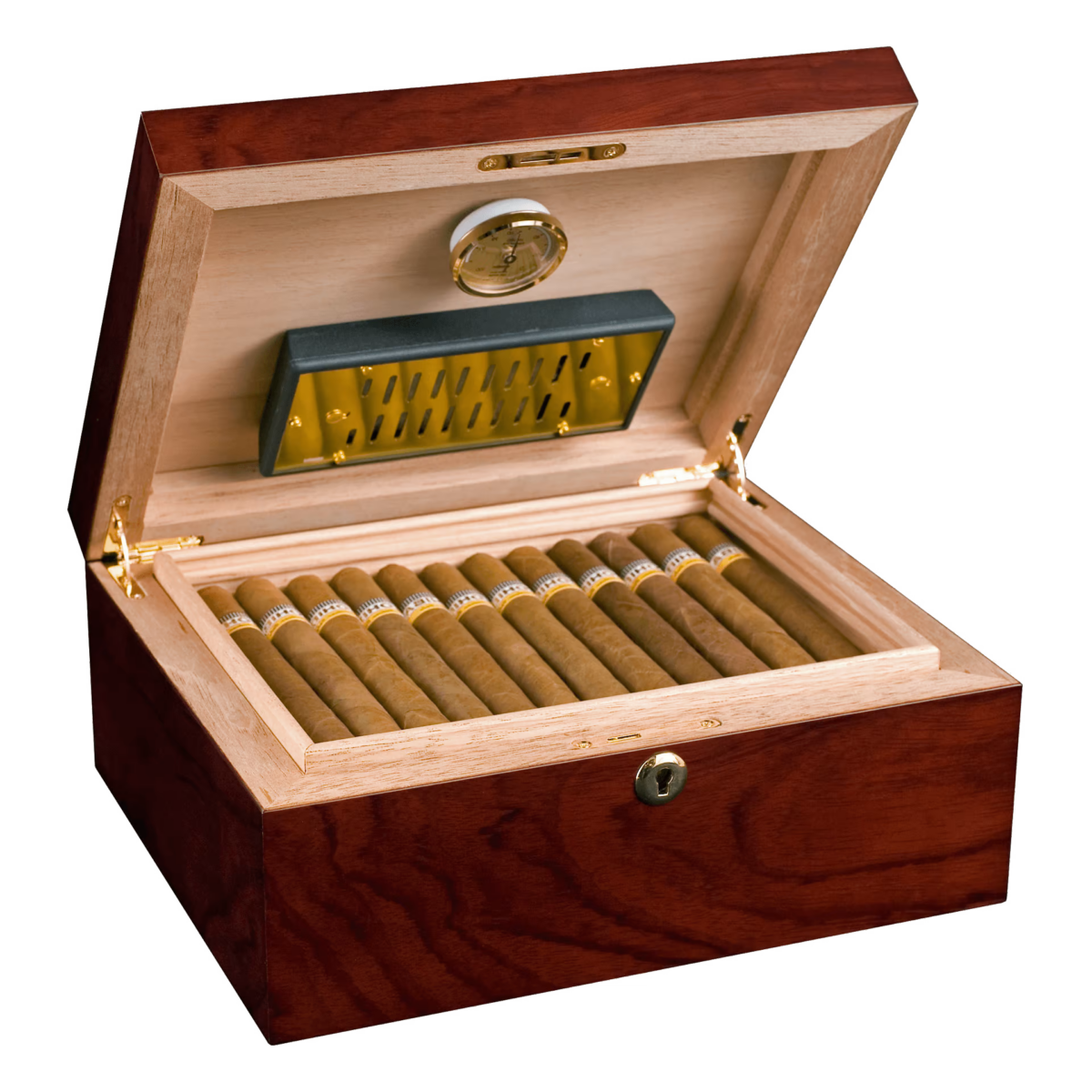 Adorini Triest Deluxe