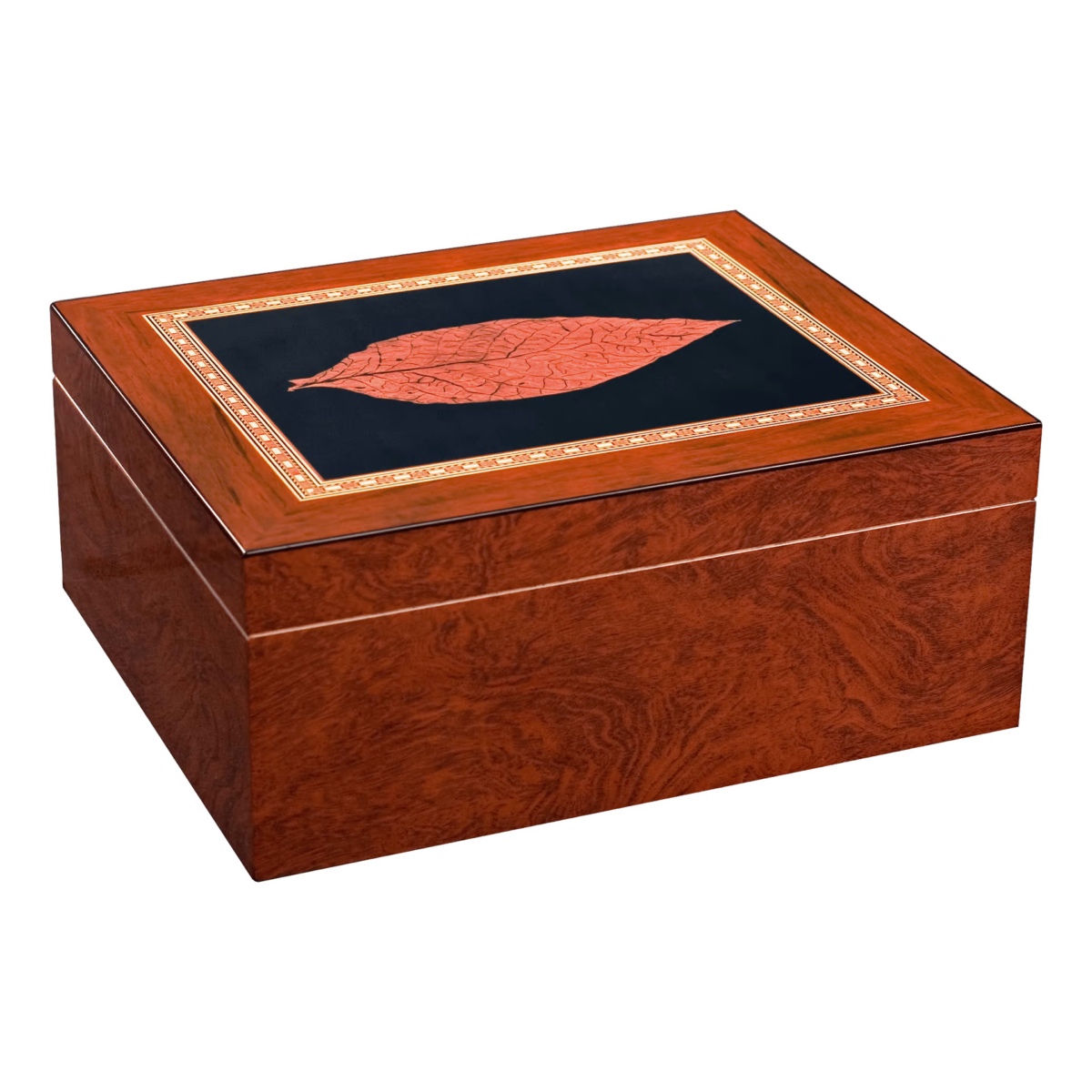 Adorini Venezia Deluxe M – Bild 2