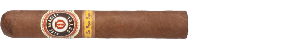 Alec Bradley Swiss Tour 2019 – Bild 10
