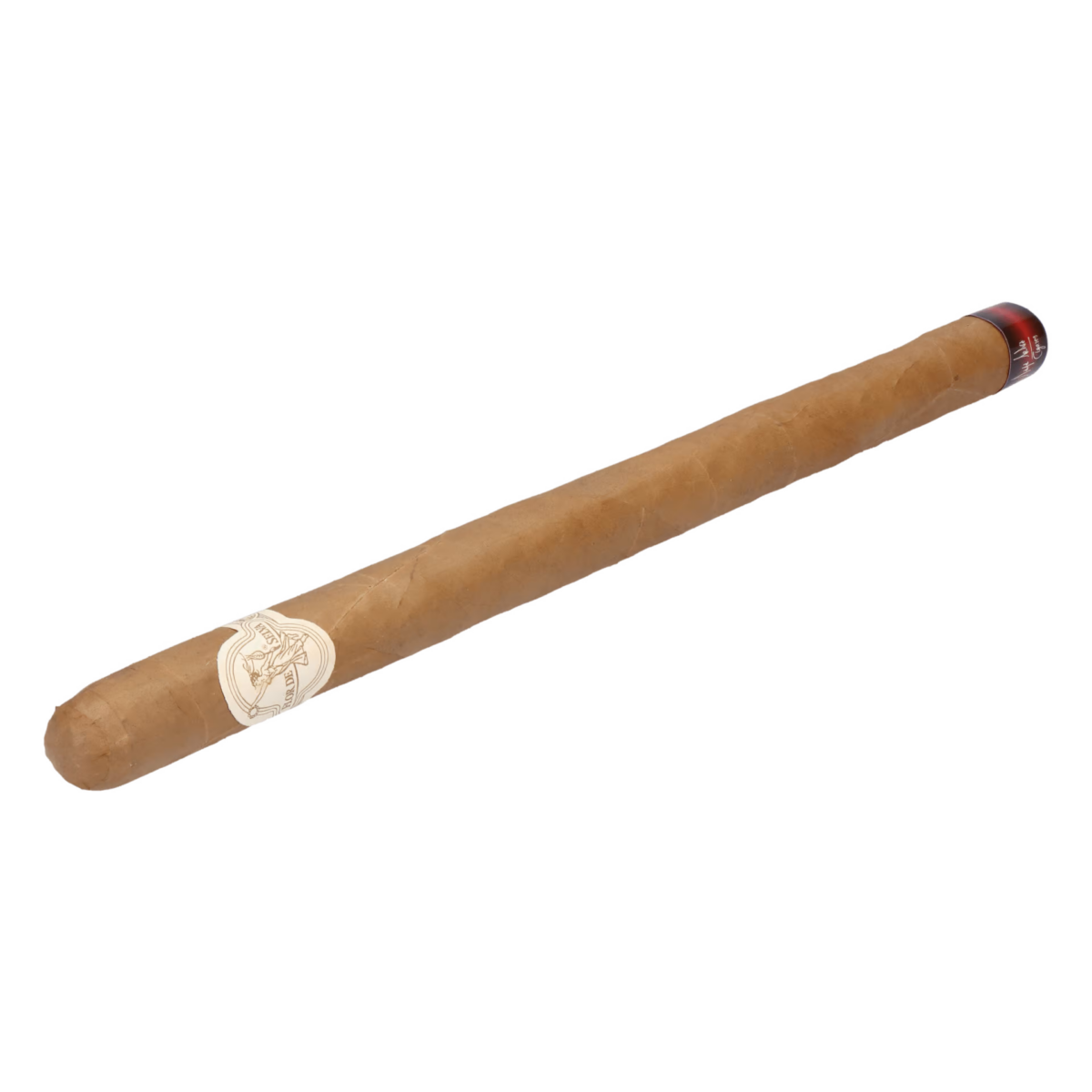 Flor de Selva Extremo – Bild 4