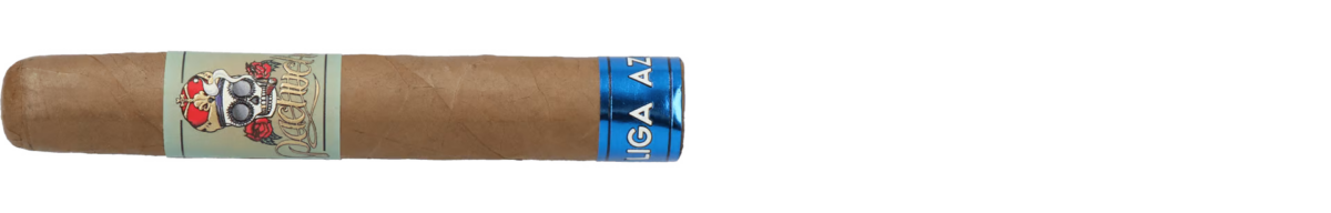 Pachuche Liga Azul Robusto