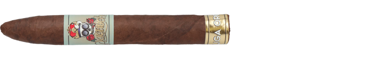 Pachuche Liga Oro Torpedo
