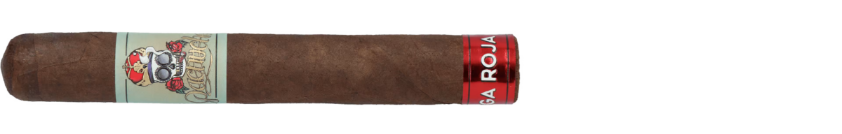 Pachuche Liga Roja Tronco