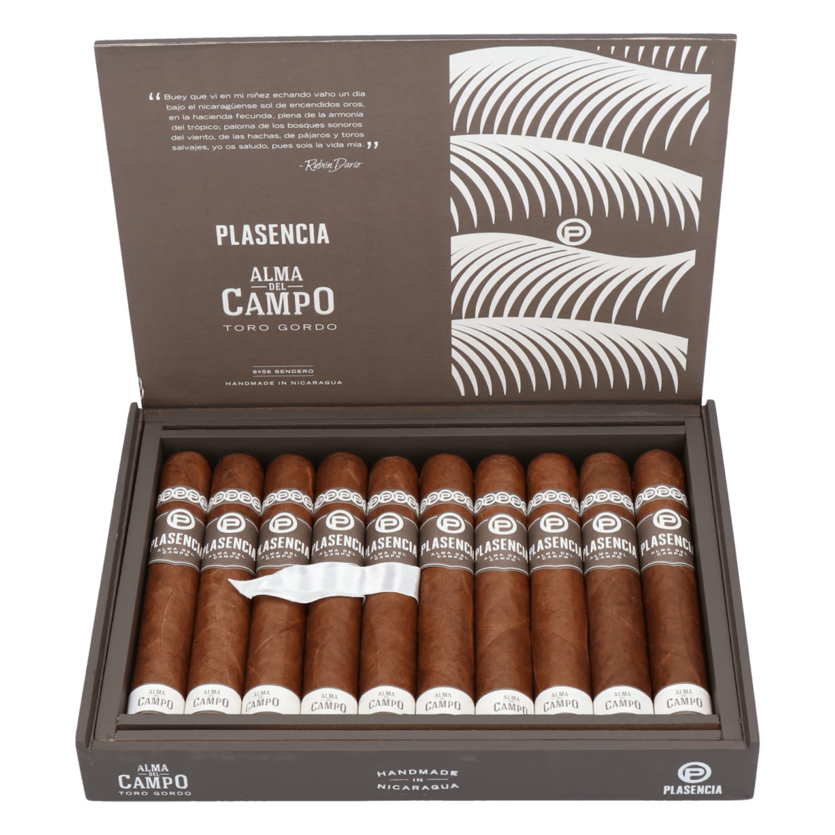 Plasencia Alma del Campo Sendero (Double Robusto) – Bild 2