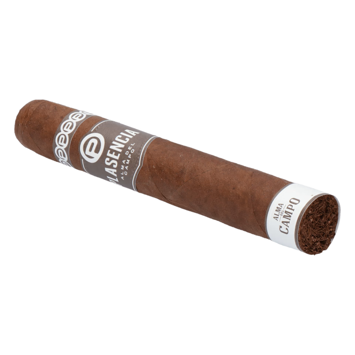 Plasencia Alma del Campo Sendero (Double Robusto) – Bild 5