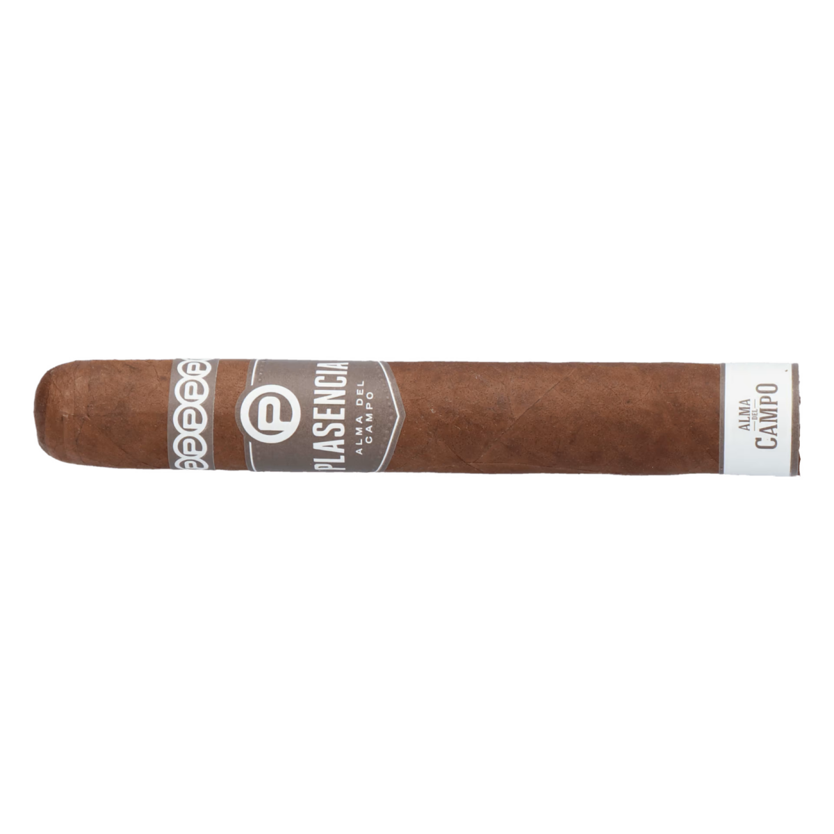 Plasencia Alma del Campo Sendero (Double Robusto) – Bild 7