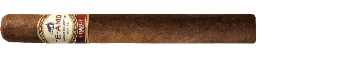 Te-Amo WSS Nicaragua Churchill