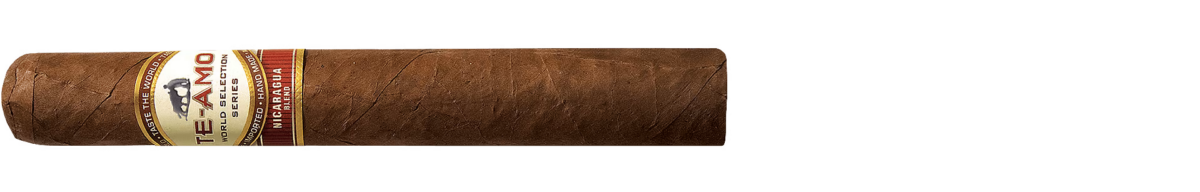 Te-Amo WSS Nicaragua Toro