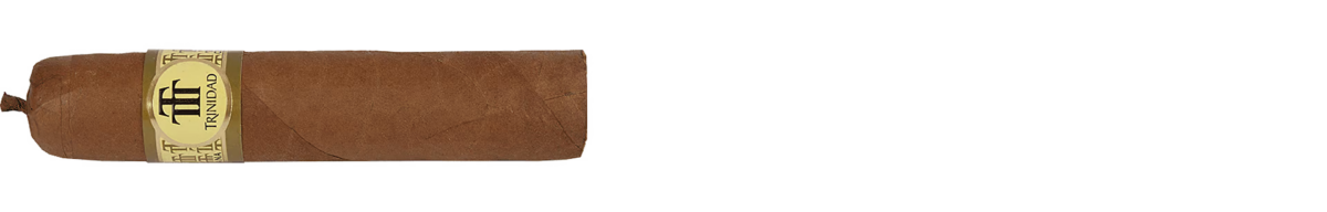 Trinidad Vigia