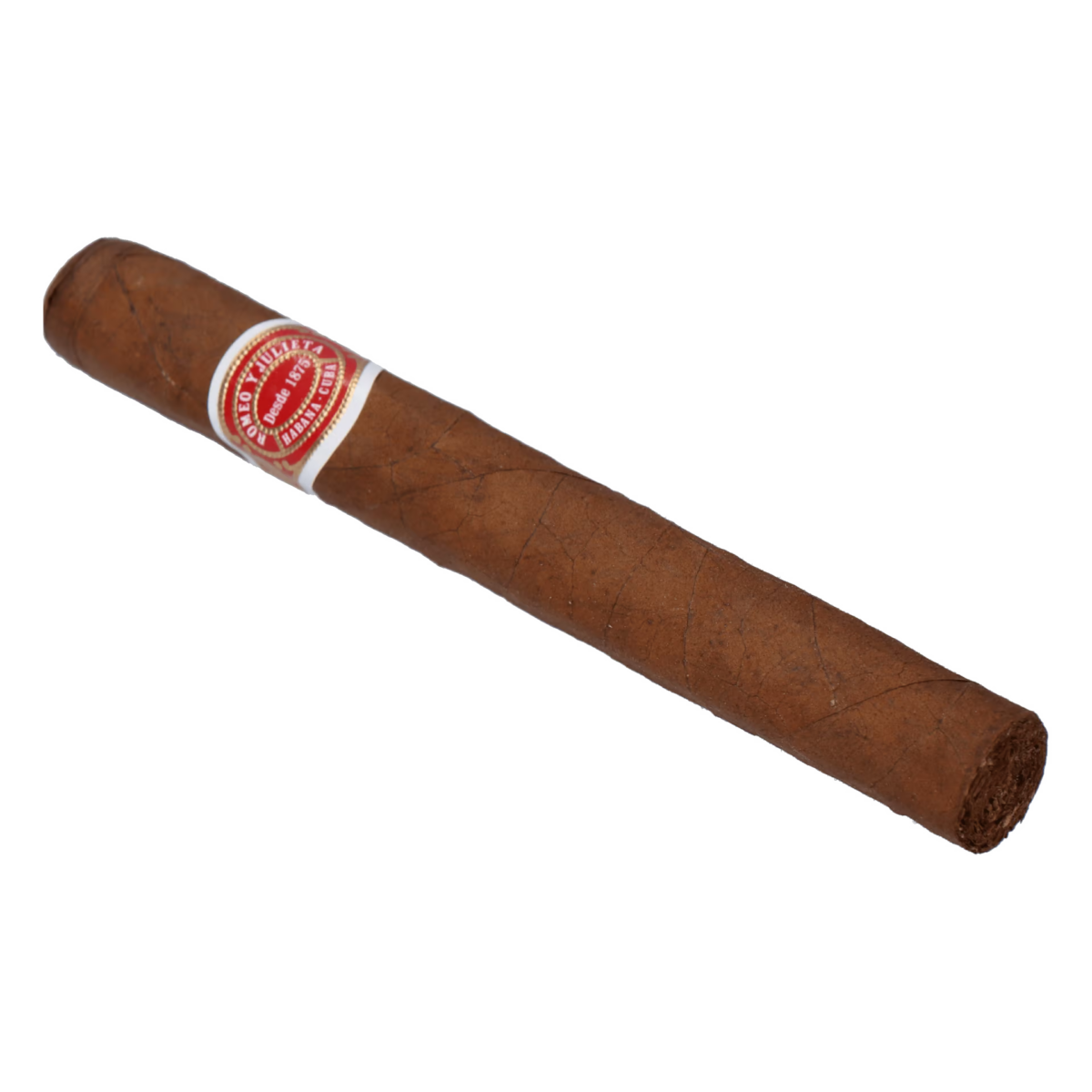 Romeo y Julieta Belvederes – Bild 2