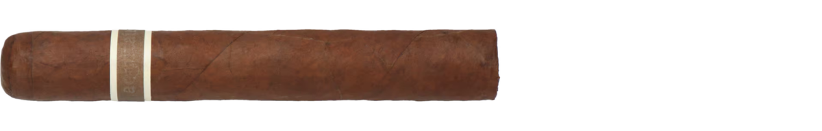 RoMa Craft Tobac CroMagnon Aquitaine Cranium