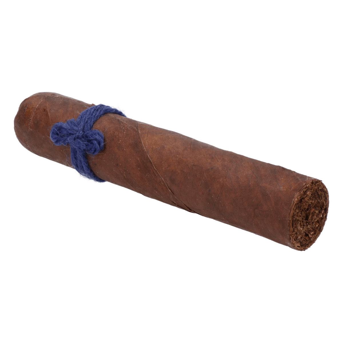 Furia Alecto (Blau) – Bild 3