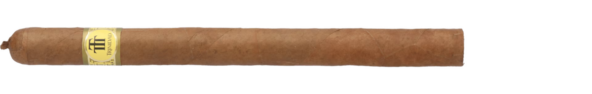 Trinidad Fundadores