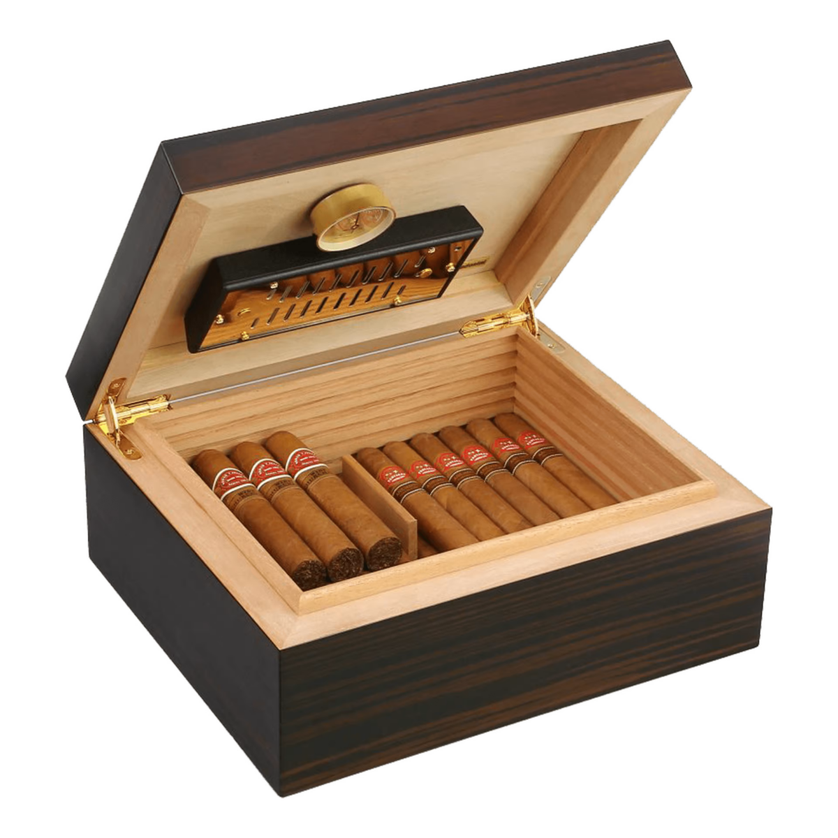 Adorini Verona Deluxe M – Bild 2