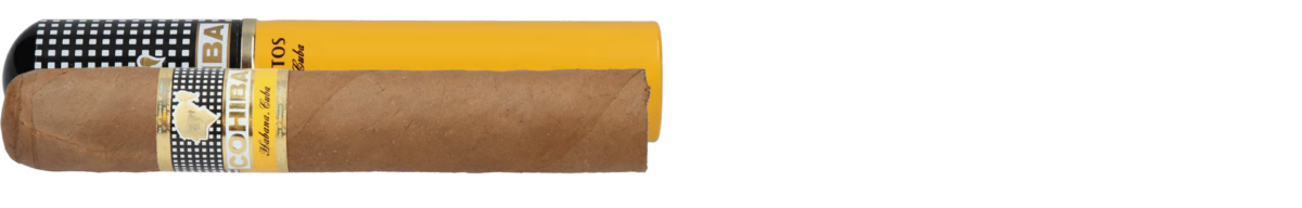 Cohiba Robustos Tubos