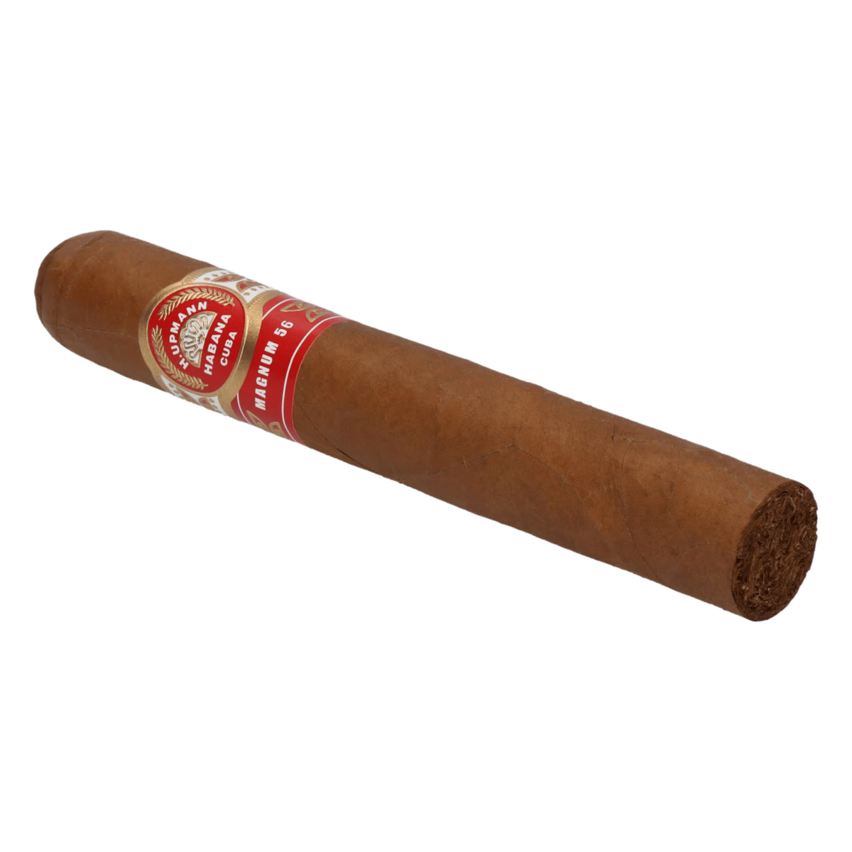 H. Upmann Magnum 56 Jar – Bild 5