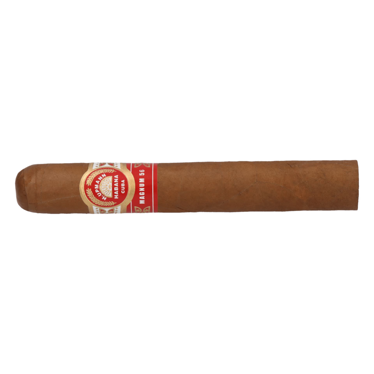 H. Upmann Magnum 56 Jar – Bild 4