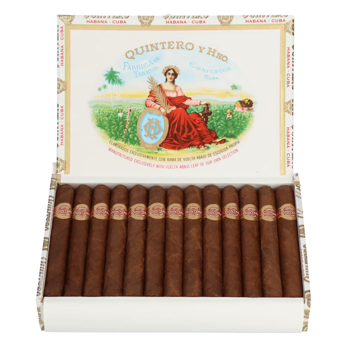 Quintero Londres Extra – Bild 6