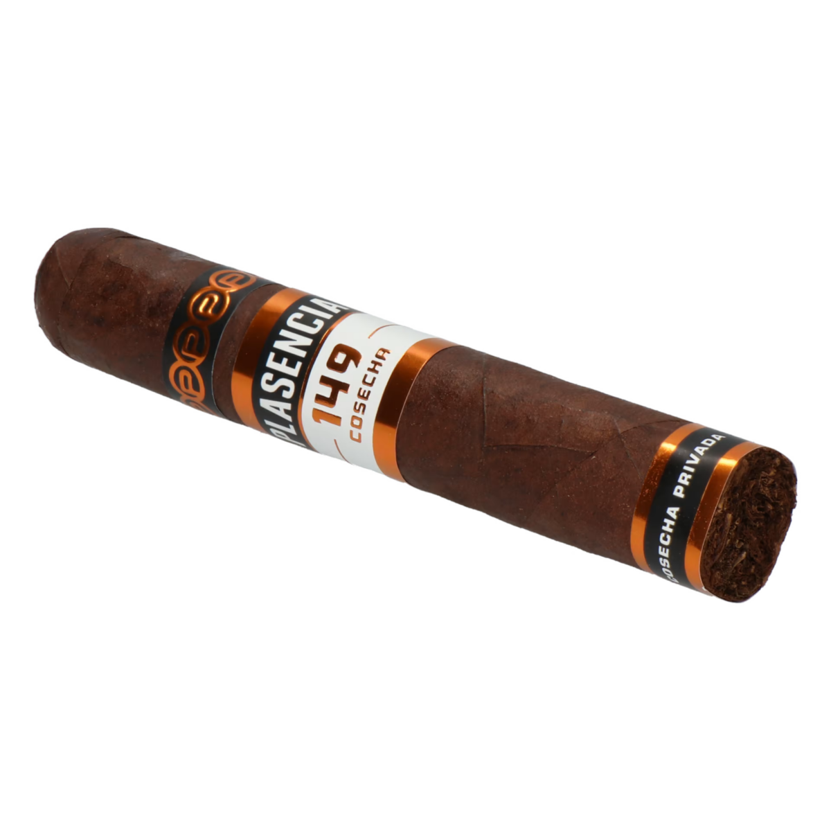 Plasencia Cosecha 149 La Vega (Robusto) – Bild 3