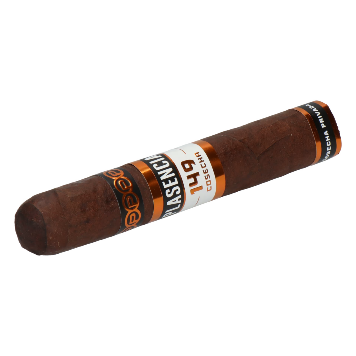 Plasencia Cosecha 149 La Vega (Robusto) – Bild 4