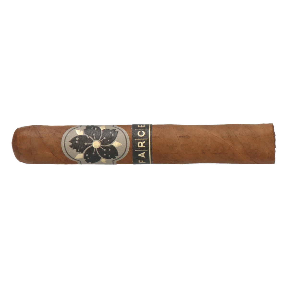 Room101 Farce Original Robusto – Bild 2