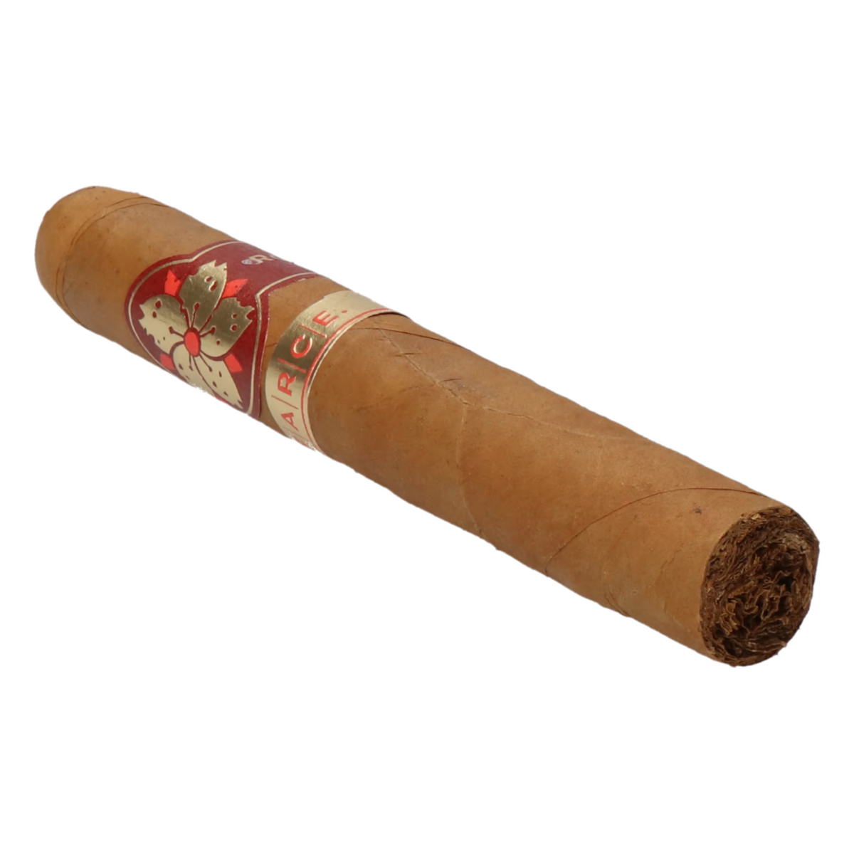 Room101 Farce Connecticut Super Toro – Bild 3