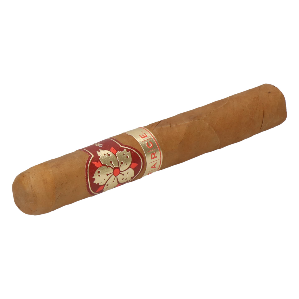 Room101 Farce Connecticut Super Toro – Bild 4