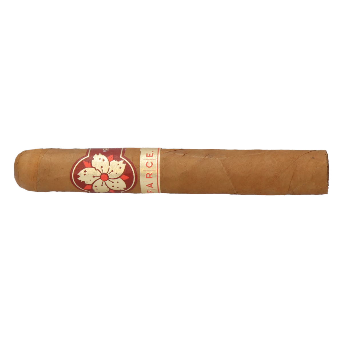 Room101 Farce Connecticut Super Toro – Bild 2