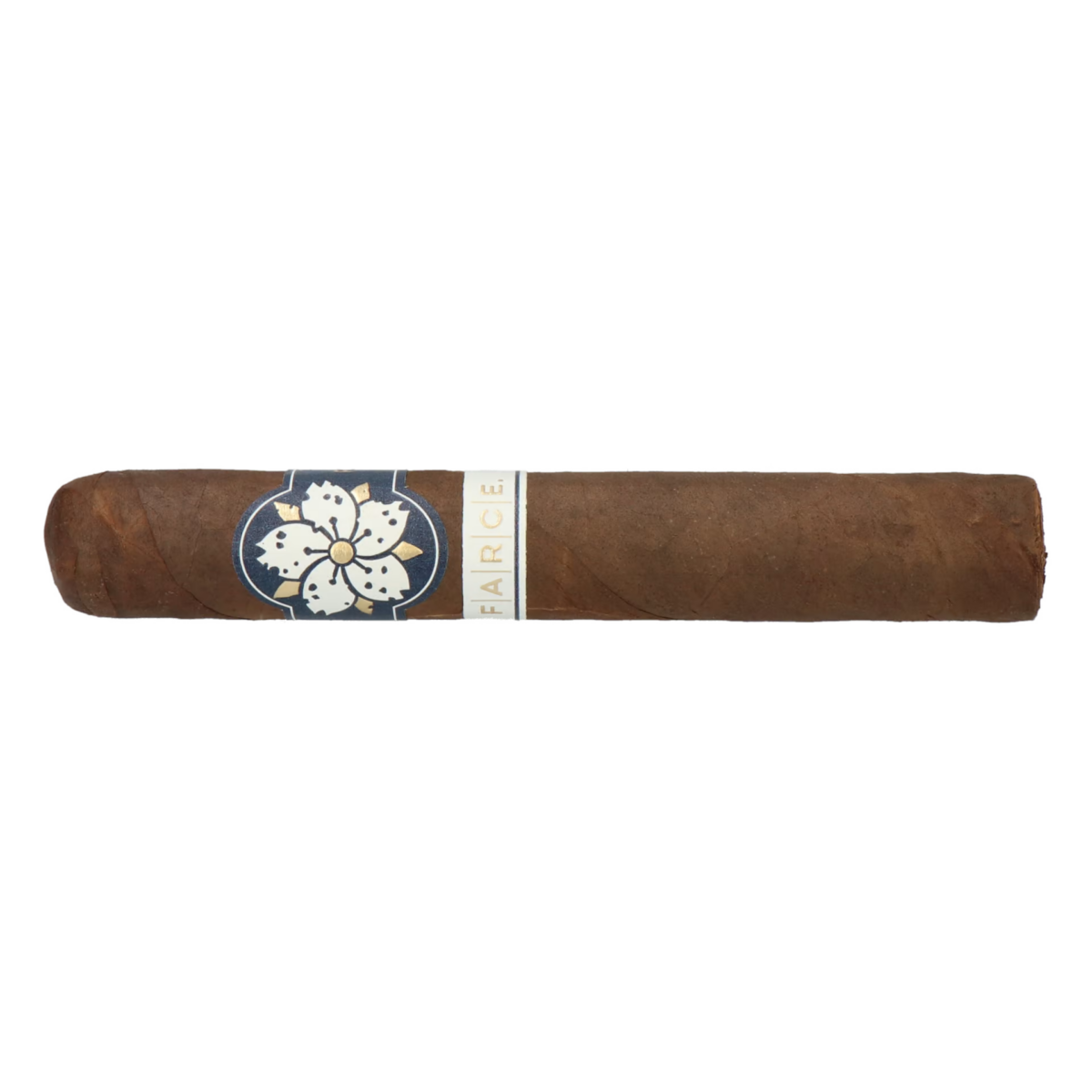 Room101 Farce Maduro Magnum – Bild 2