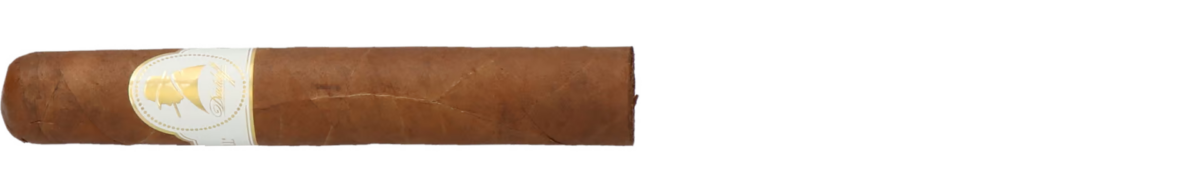 Davidoff Winston Churchill Robusto