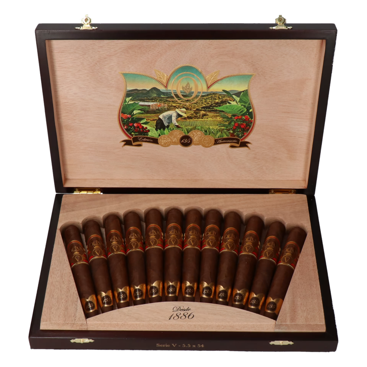 Oliva Serie V 135 Aniversario Edicion Real – Bild 5