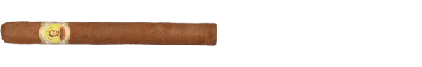 Bolivar Petit Coronas