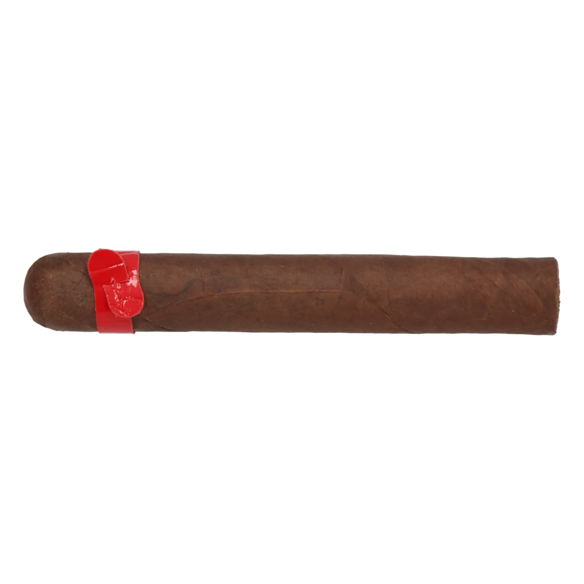 Skinhead Red Caiman – Bild 2