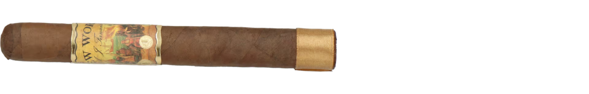 AJ Fernandez New World Dorado (Corona)