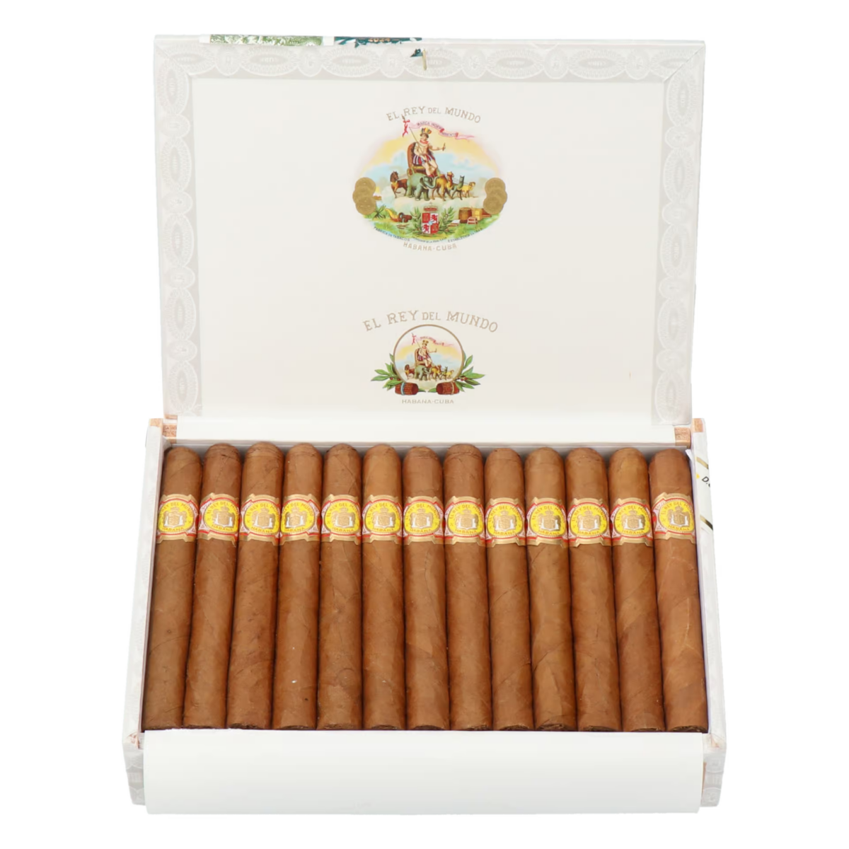 El Rey Del Mundo - Demi Tasse – Bild 5