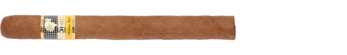 Cohiba Siglo V