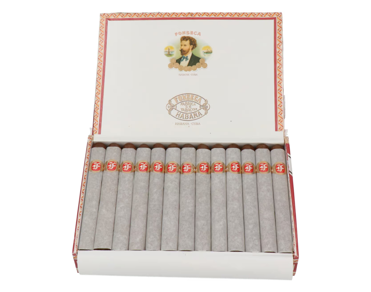 Fonseca Cosacos – Bild 6