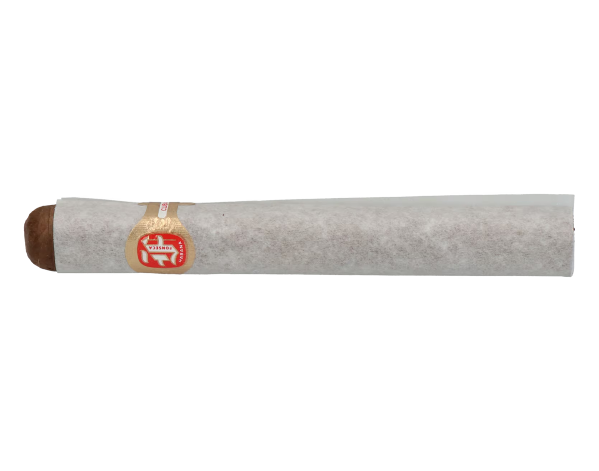Fonseca Cosacos – Bild 2