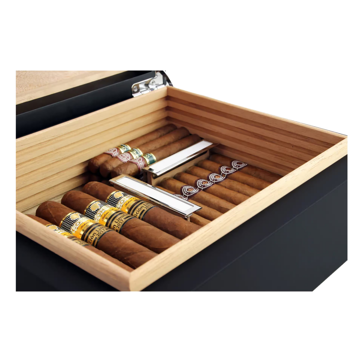 Adorini Torino Medium Deluxe – Bild 3
