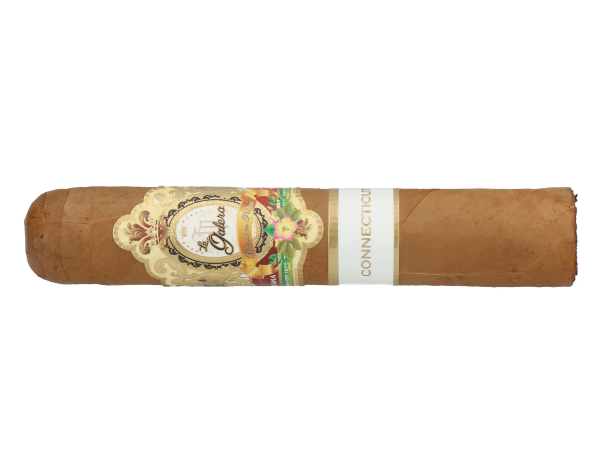 La Galera Connecticut Pilon - Short Gordo – Bild 5