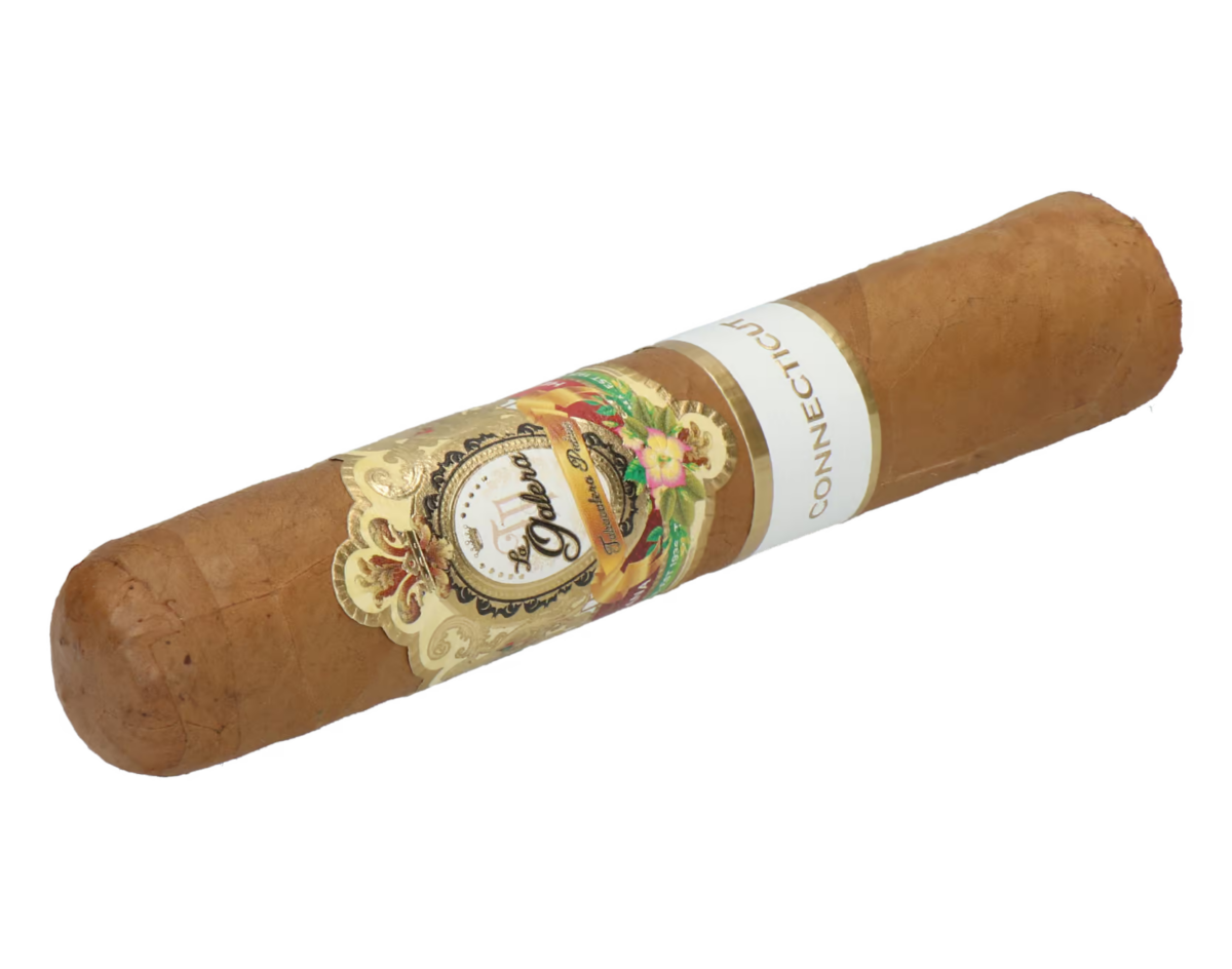 La Galera Connecticut Pilon - Short Gordo – Bild 6