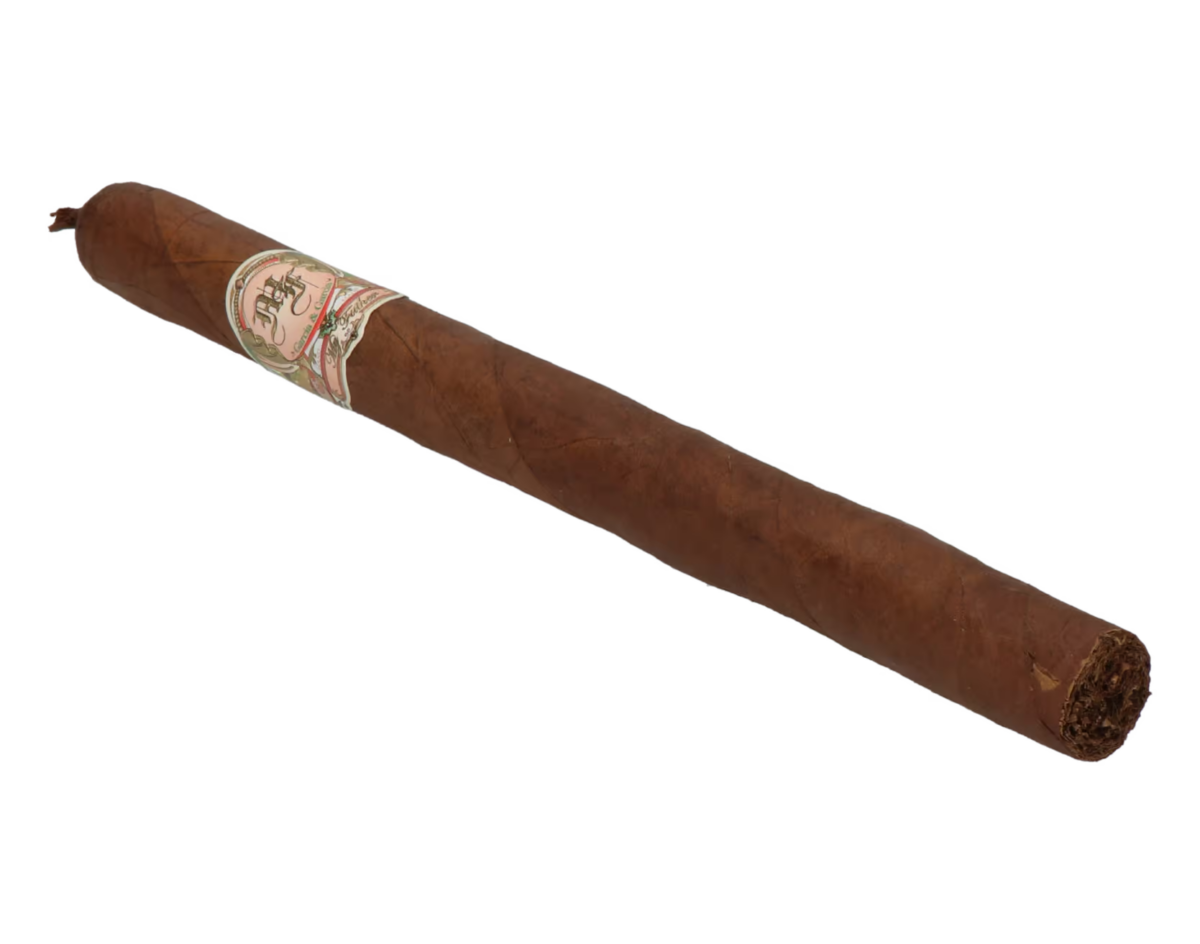 My Father No. 4 Lancero – Bild 7