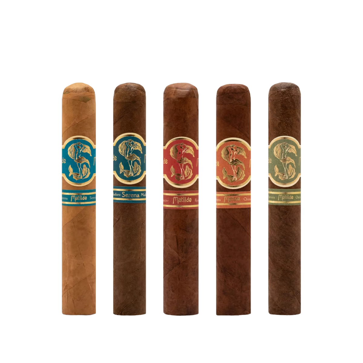 Matilde To-Go Sampler Robusto – Bild 2