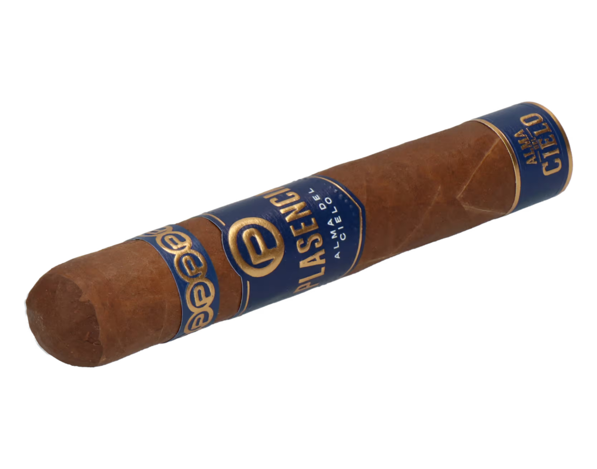 Plasencia Alma del Cielo Celeste Robusto – Bild 6