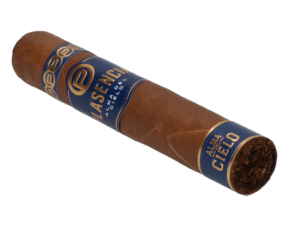 Plasencia Alma del Cielo Celeste Robusto – Bild 7