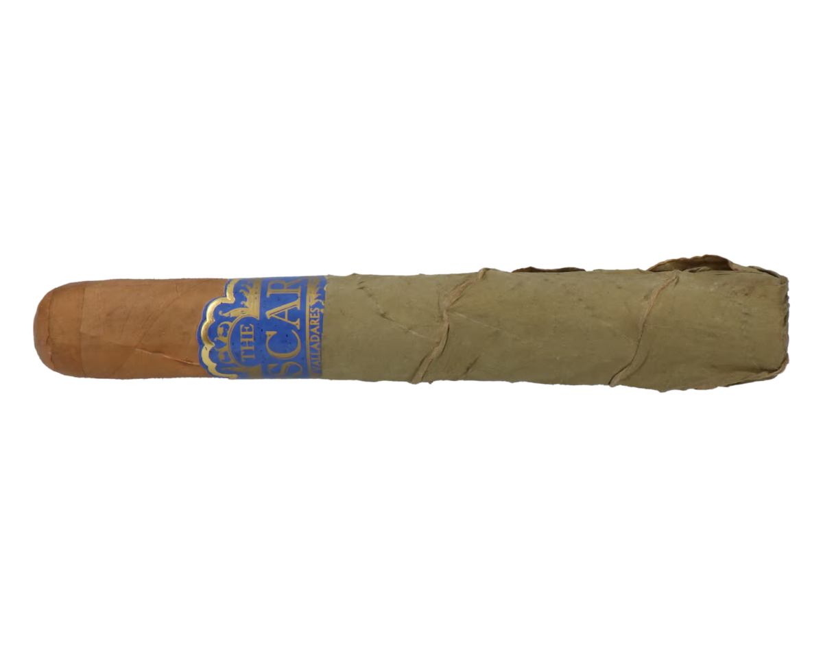 The Oscar Connecticut Toro – Bild 5