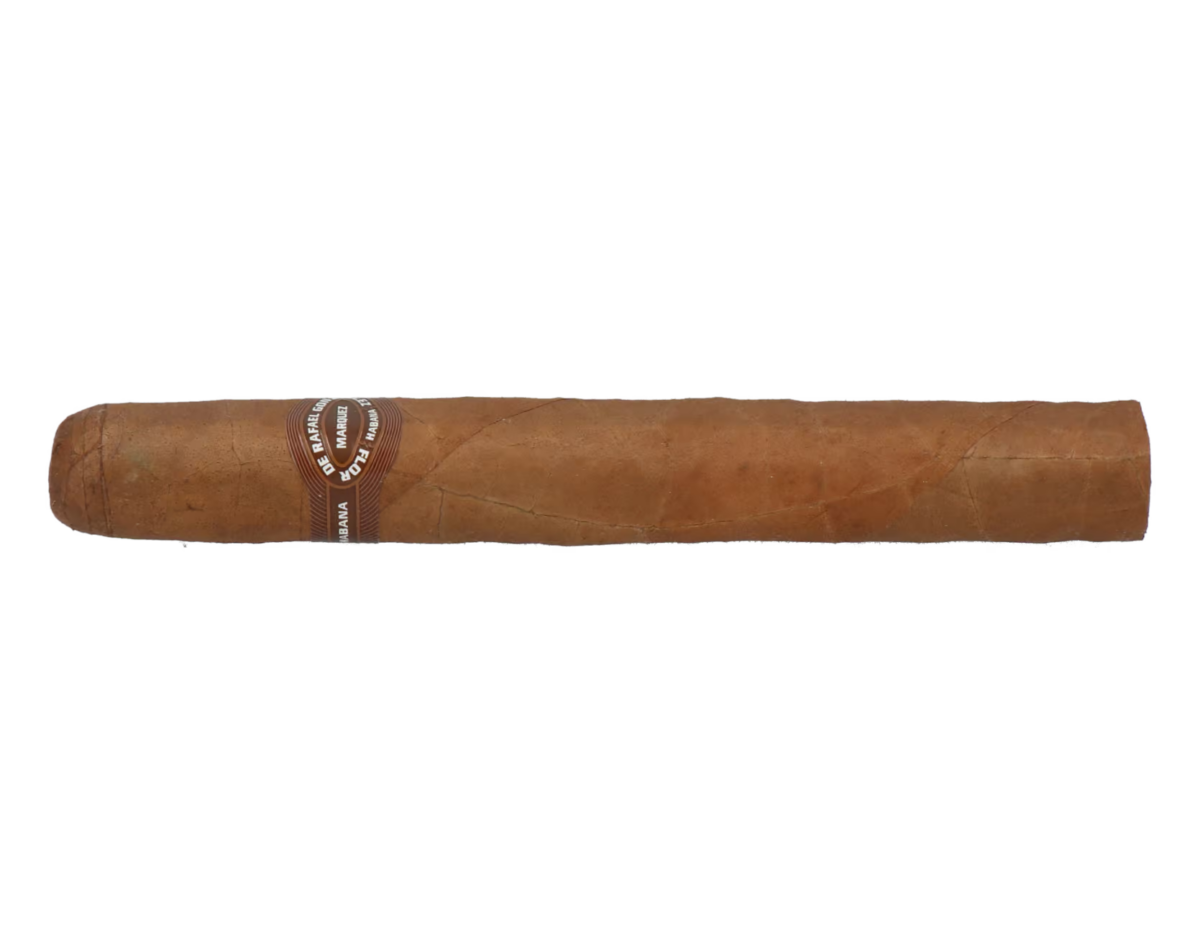 Rafael Gonzalez Petit Coronas – Bild 5