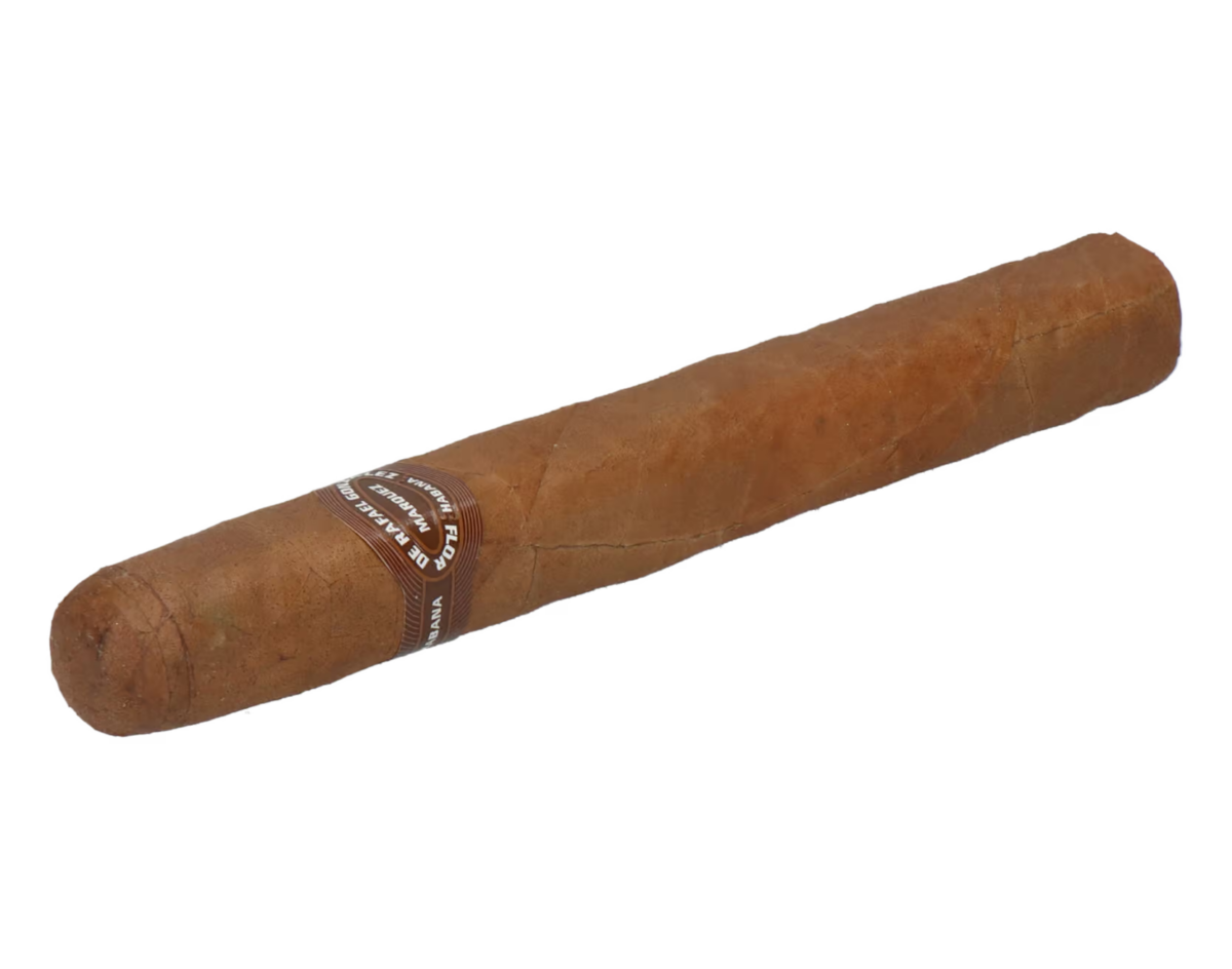 Rafael Gonzalez Petit Coronas – Bild 6